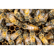 Thumbnail title Thumbnail title