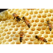 Thumbnail title Thumbnail title